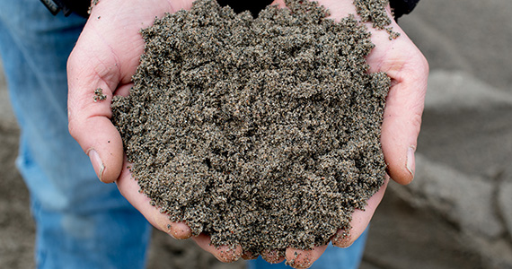 Washed Sand